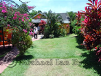 St Vincent colourful plants
